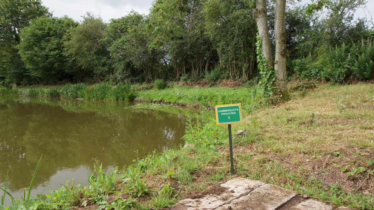 A numbered peg beside the water at Hammersley Pools